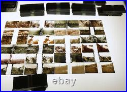 200 PHOTOGRAPHIE plaque verre STEREOS guerre 14-18 + STEREOSCOPE WW1 STEREOVIEWS