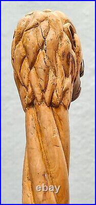 Canne de poilu sculptée Lion et serpent Hairy Cane Carved Lion and Snake