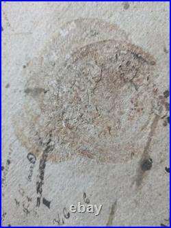 Diplôme Mort pour la France 1915 Croix de Guerre Photos Poilu 15e RI WW1