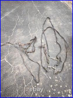 Harnachement tête 1874 bride filet licol longe cuir fauve officier cavalerie ww1