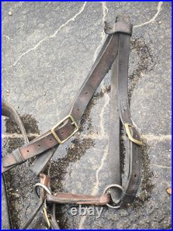 Harnachement tête 1874 bride filet licol longe cuir fauve officier cavalerie ww1