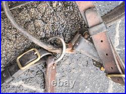 Harnachement tête 1874 bride filet licol longe cuir fauve officier cavalerie ww1