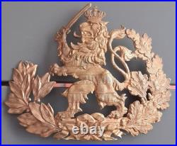 Relique Plaque Casque à Pointe Officier Duché de Hesse Hessen Allemand ORIGINAL