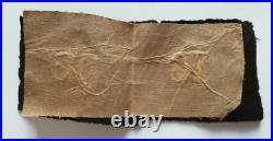 WWI Pattes de col 16° DRAGONS Cavalerie Officier 1914-1918 ORIGINAL non montées